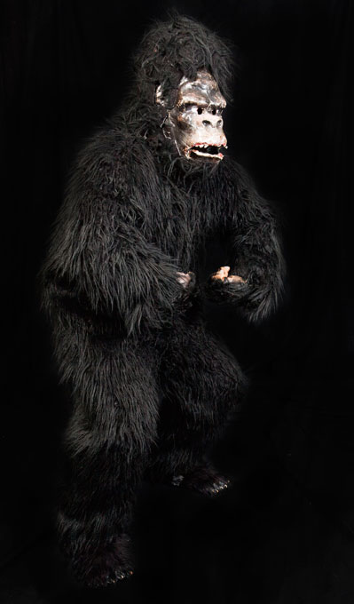 Gorilla