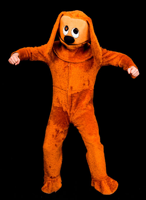 Hund